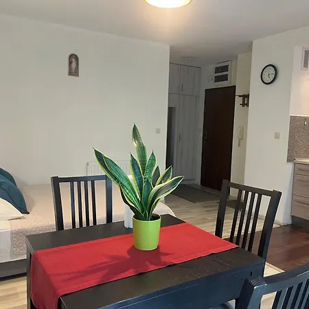 Apartament Łagiewniki Krakow-3
